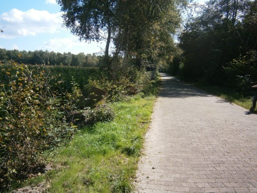 Dachsweg 1 Abschnitt