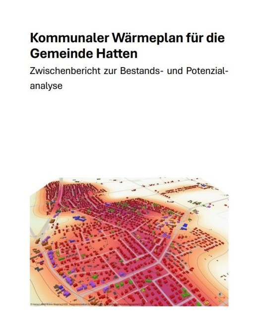Zwischenbericht zur Bestands- und Potentialanalyse