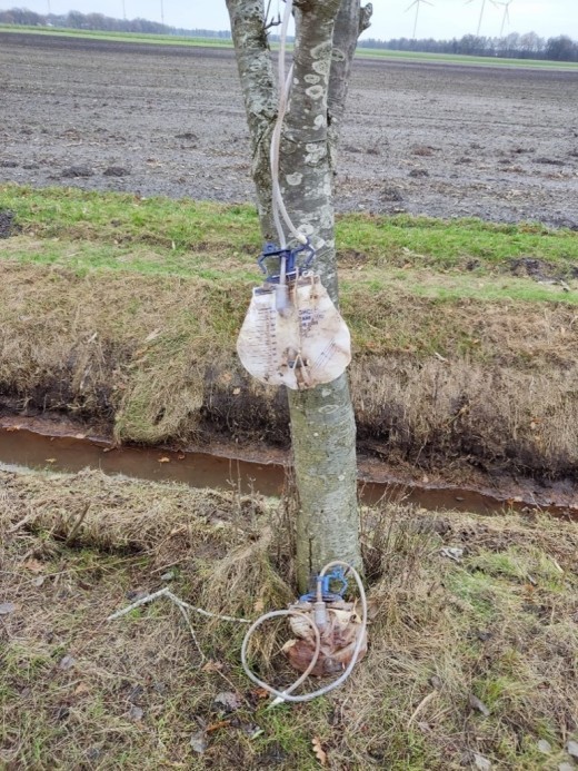 Illegale Müllentsorgung