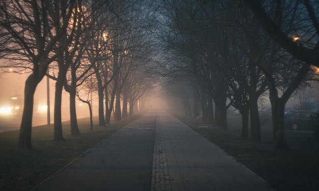 Nightwalk mit der Selbstverteidigungstrainerin Gaby Bothe