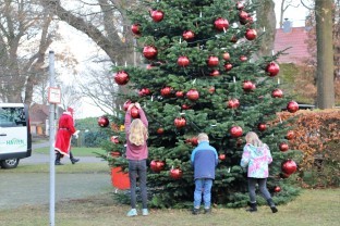 Weihnachtsbaum aufstellen in Tweelbäke