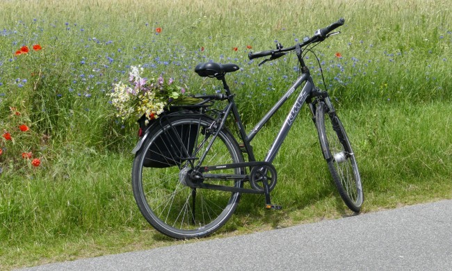 Fahrradtour der Landfrauen Tweelbäke
