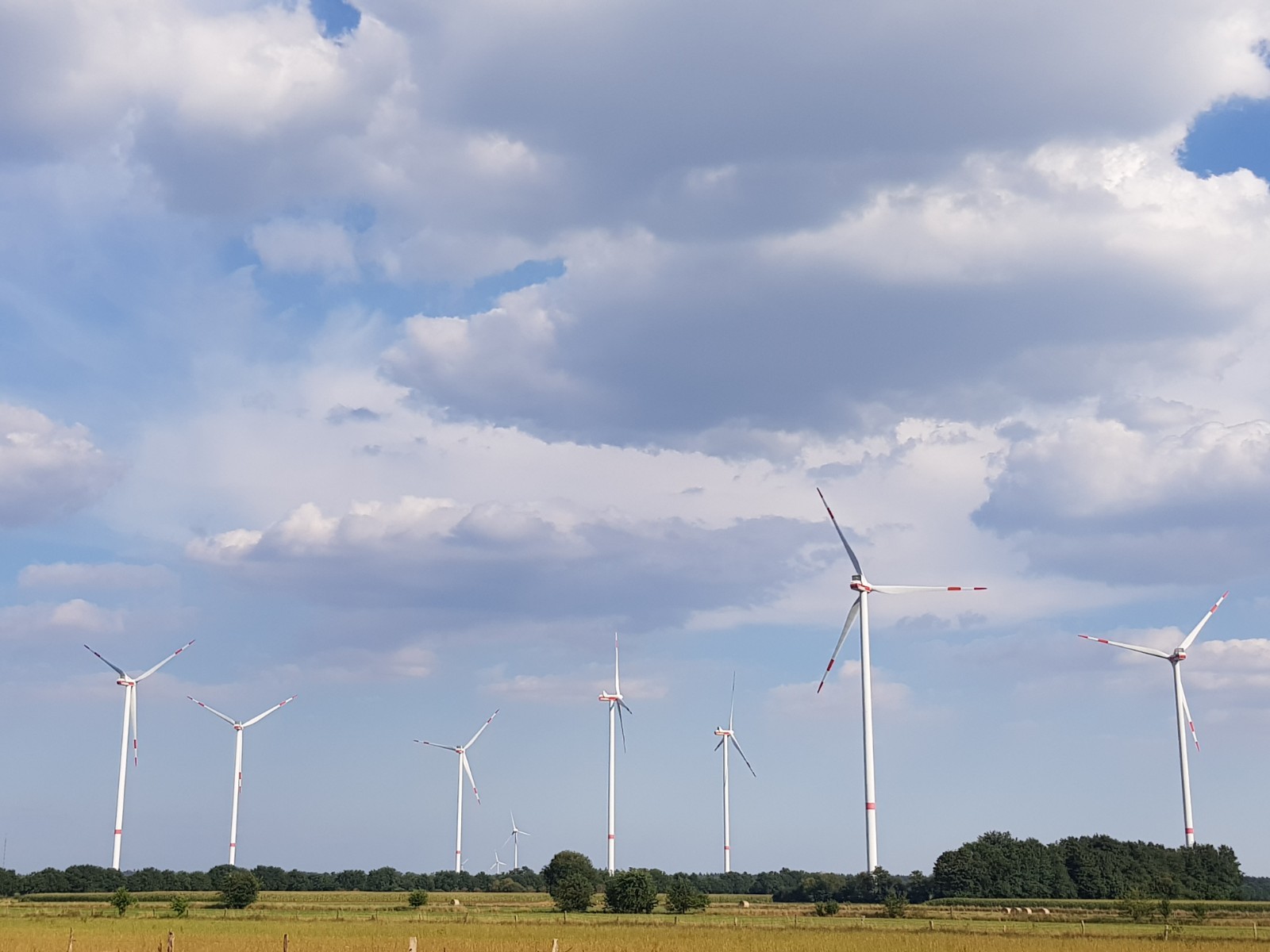 Windkraftanlagen in Hatterw&uuml;sting