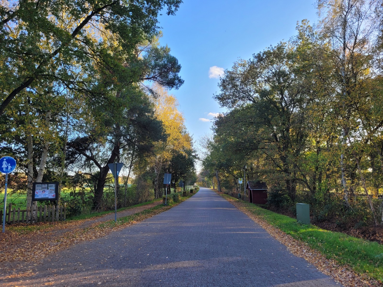 Stra&szlig;e An der Bahn in Streekermoor mit B&auml;umen und Bushaltestelle